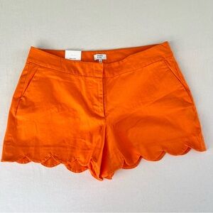 Crown & Ivy Woman’s Orange Casual Shorts Scalloped Hem Size 12 NWT 36”x4”